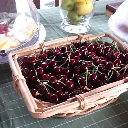 Azienda Agricola Baronesse Tacco Bed & Breakfast *