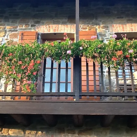 Azienda Agricola Baronesse Tacco